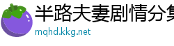 半路夫妻剧情分集介绍